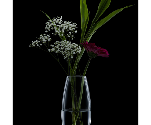 Rayware Bullet Vase 23cm Gift Boxed