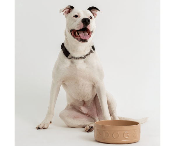 Rayware Cane Lettered Dog Bowl 25cm