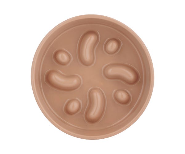 Rayware Cane Slow Feeder Dog Bowl 20cm