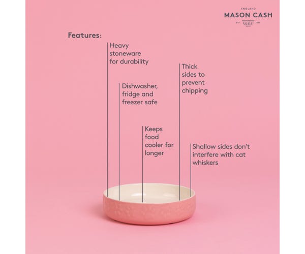 Rayware Colour Mix 13cm Pink Cat Saucer