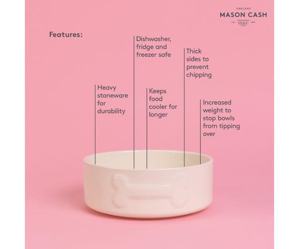 Rayware Colour Mix 20cm Cream Dog Bowl