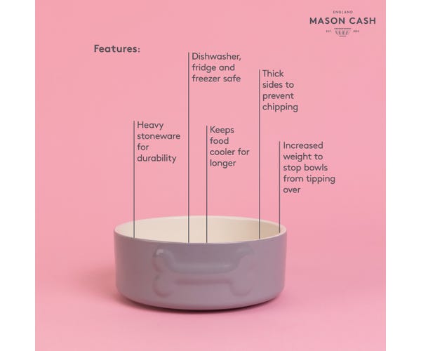 Rayware Colour Mix 20cm Grey Dog Bowl