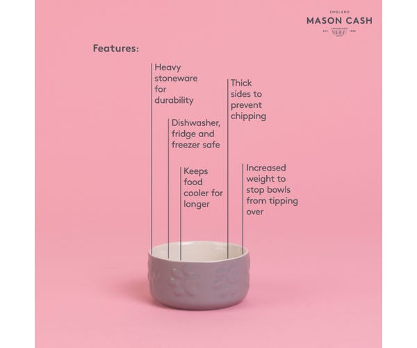 Rayware Colour Mix Assorted Pet Bowls 8cm