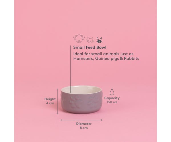 Rayware Colour Mix Assorted Pet Bowls 8cm