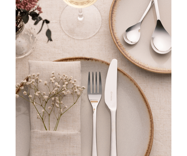 Rayware Darwin Dessert Knife 18/10