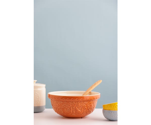 rayware Home To Roost S24 Orange Mixing Bowl 24cm