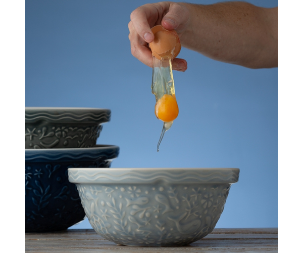 Rayware Nautical S24 Blue Turtle Mixing Bowl 24cm