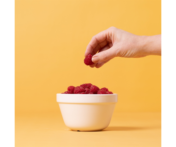 Rayware Original White S42 Pudding Basin 14cm