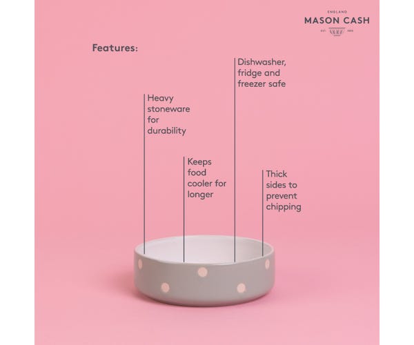 Rayware Polka Dot Sage 13cm Pet Bowl