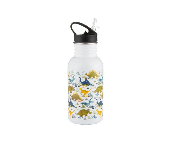 rayware Pure Kids Dinosaurs Bottle 550ml