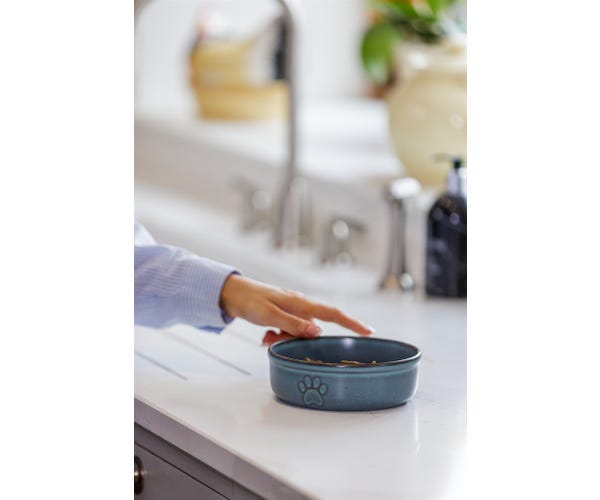 Rayware Reactive Paw 15x5cm Bowl