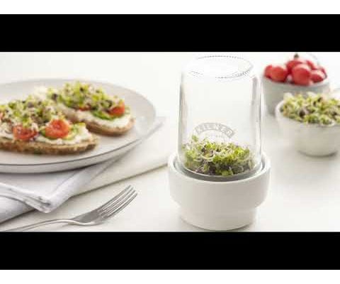 Rayware Sprouting Set