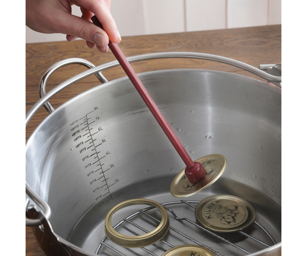 Rayware Thermometer And Lid Lifter