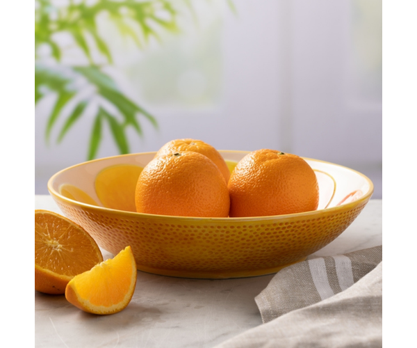 Rayware World Foods 25cm Orange Bowl