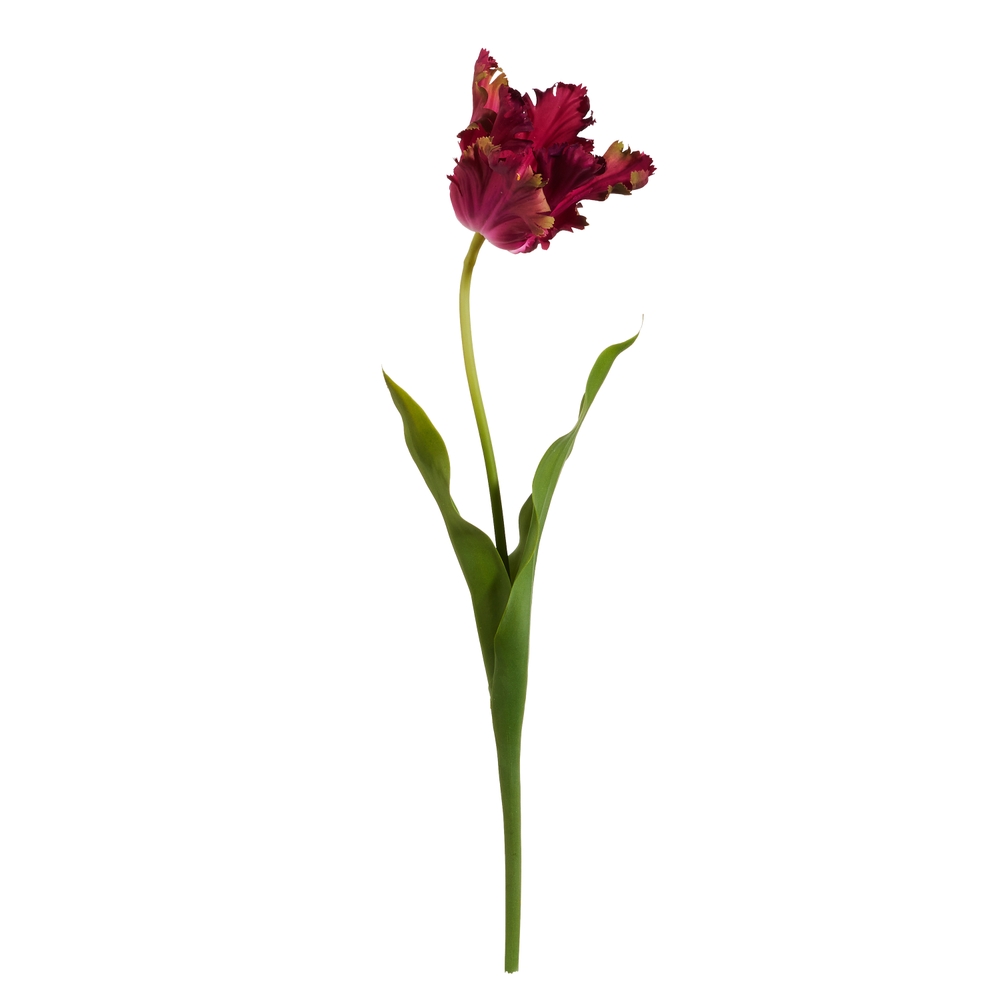 RAZ Imports 23.5" Real Touch Dark Pink Parrot Tulip Stem