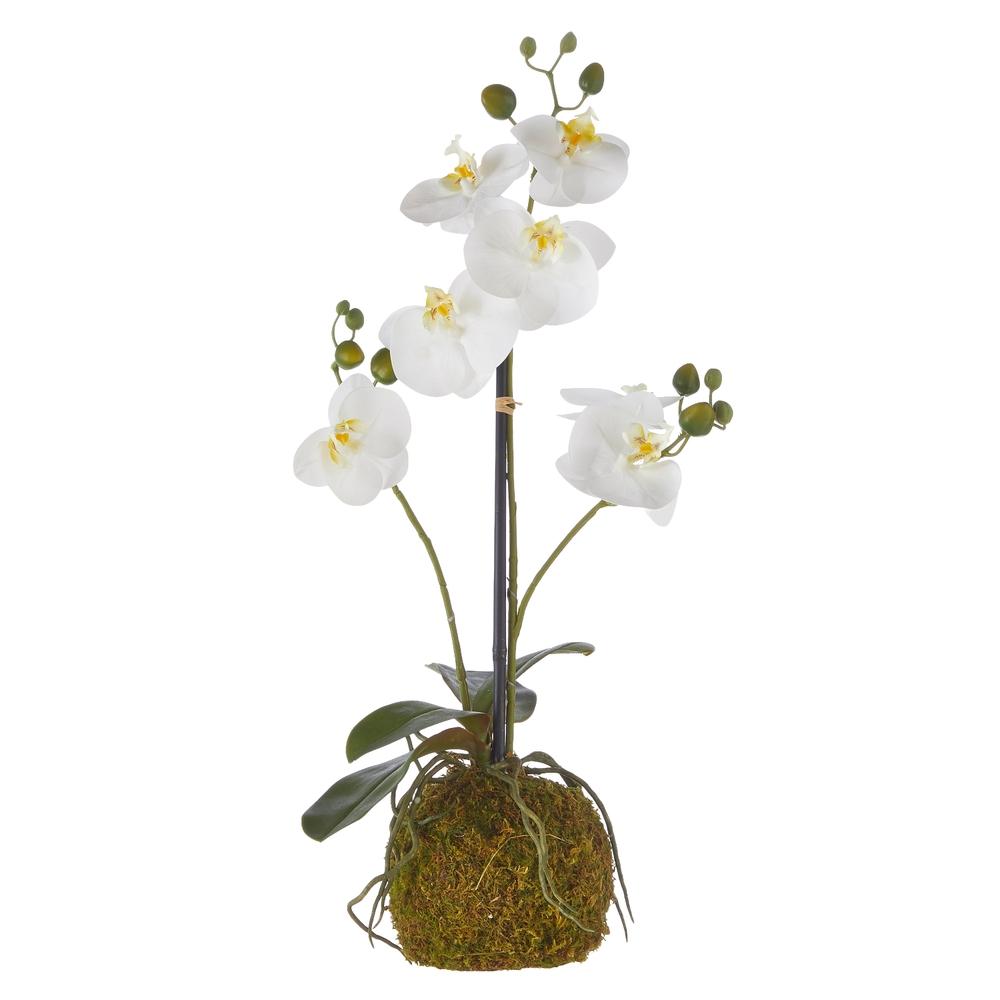 RAZ Imports 23.75" Real Touch White Orchid with Moss Ball