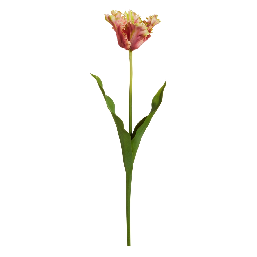 RAZ Imports 23" Real Touch Pink Green Parrot Tulip Stem
