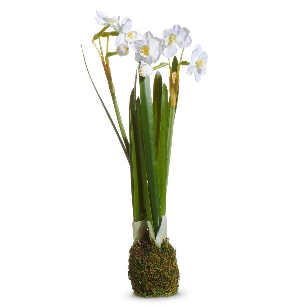 RAZ Imports 10.5" Narcissus Plant Drop In