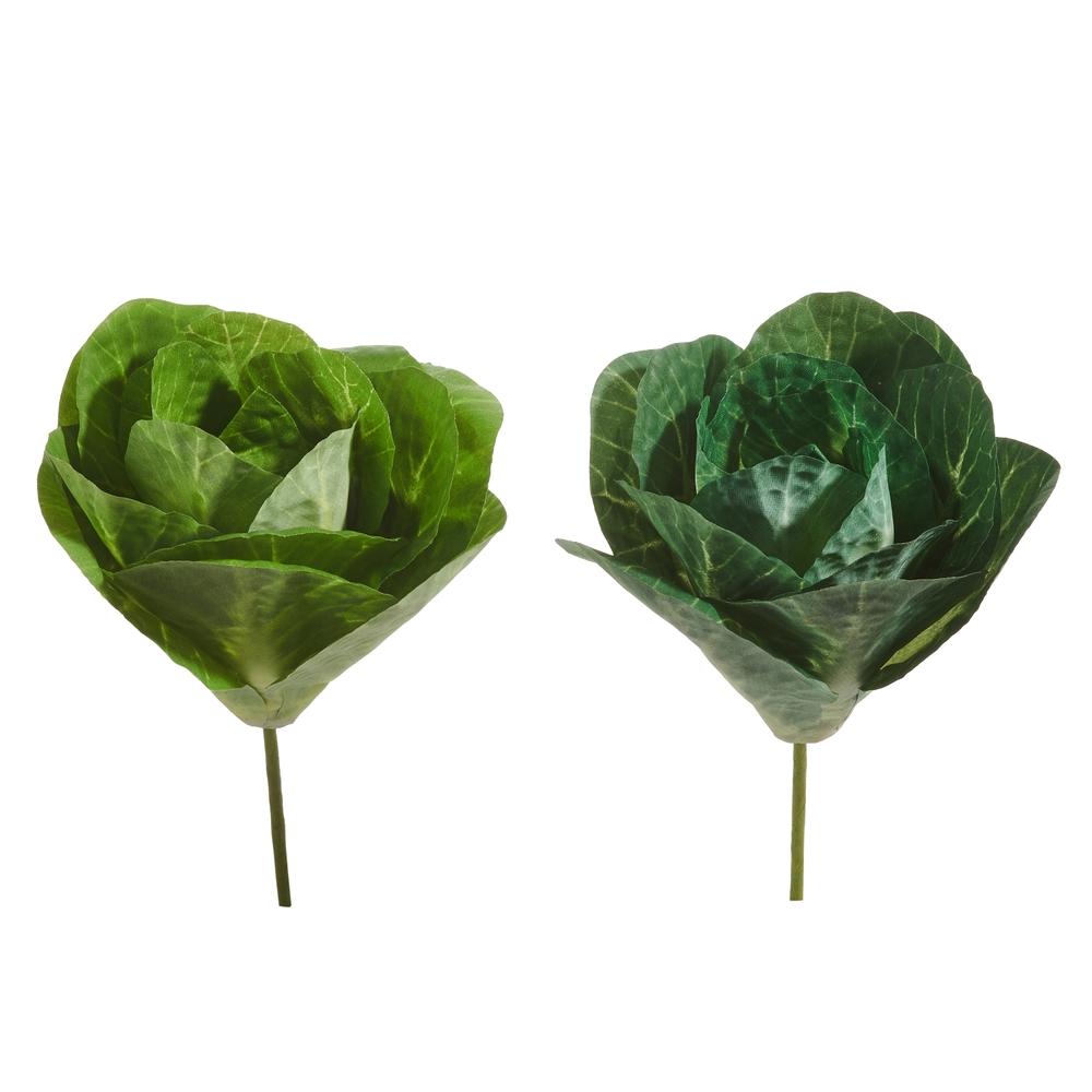 RAZ Imports 10" Cabbage Pick