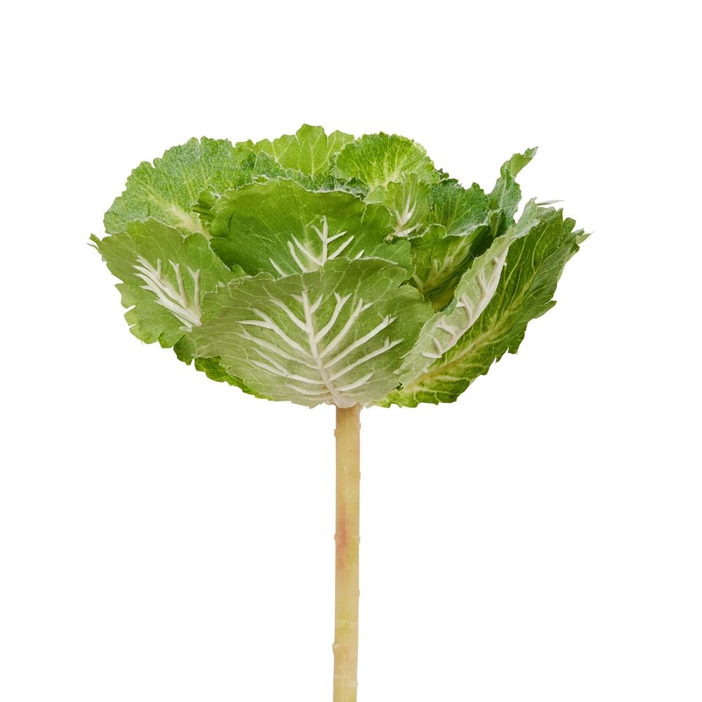 RAZ Imports 10" Cabbage Pick