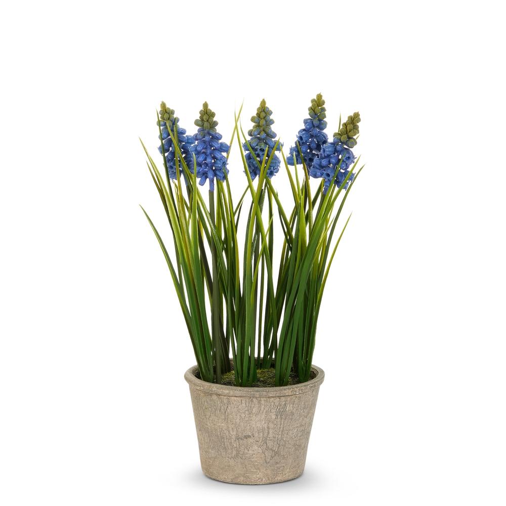 RAZ Imports 11.5" Potted Blue Grape Hyacinth