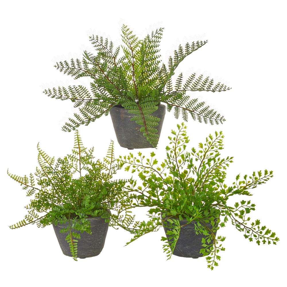 RAZ Imports 11" Potted Fern