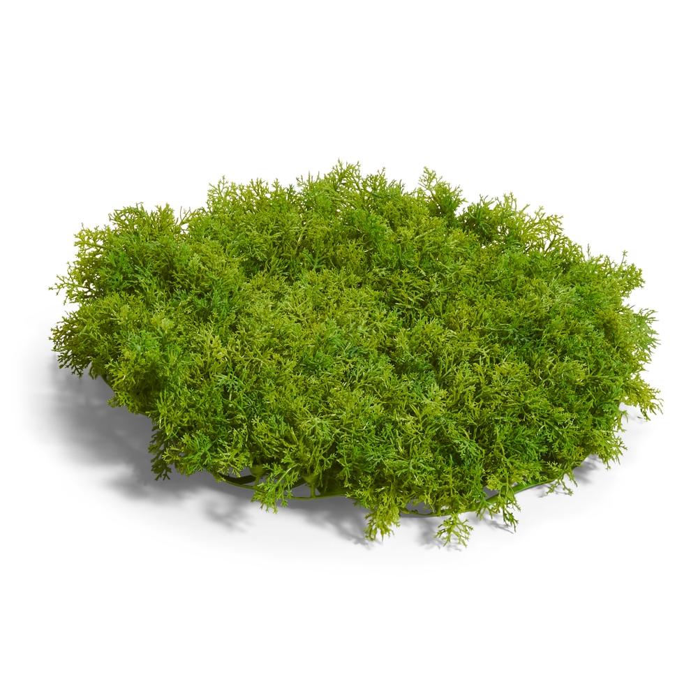 RAZ Imports 13" Moss Mat