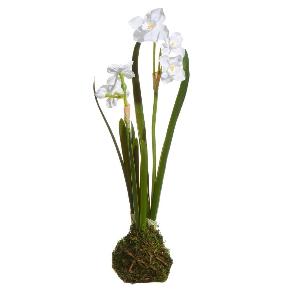 RAZ Imports 14" White Paperwhite Drop In