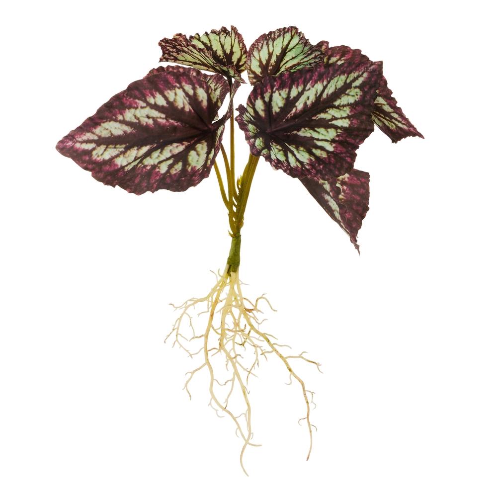 RAZ Imports 15" Burgundy Begonia With Roots