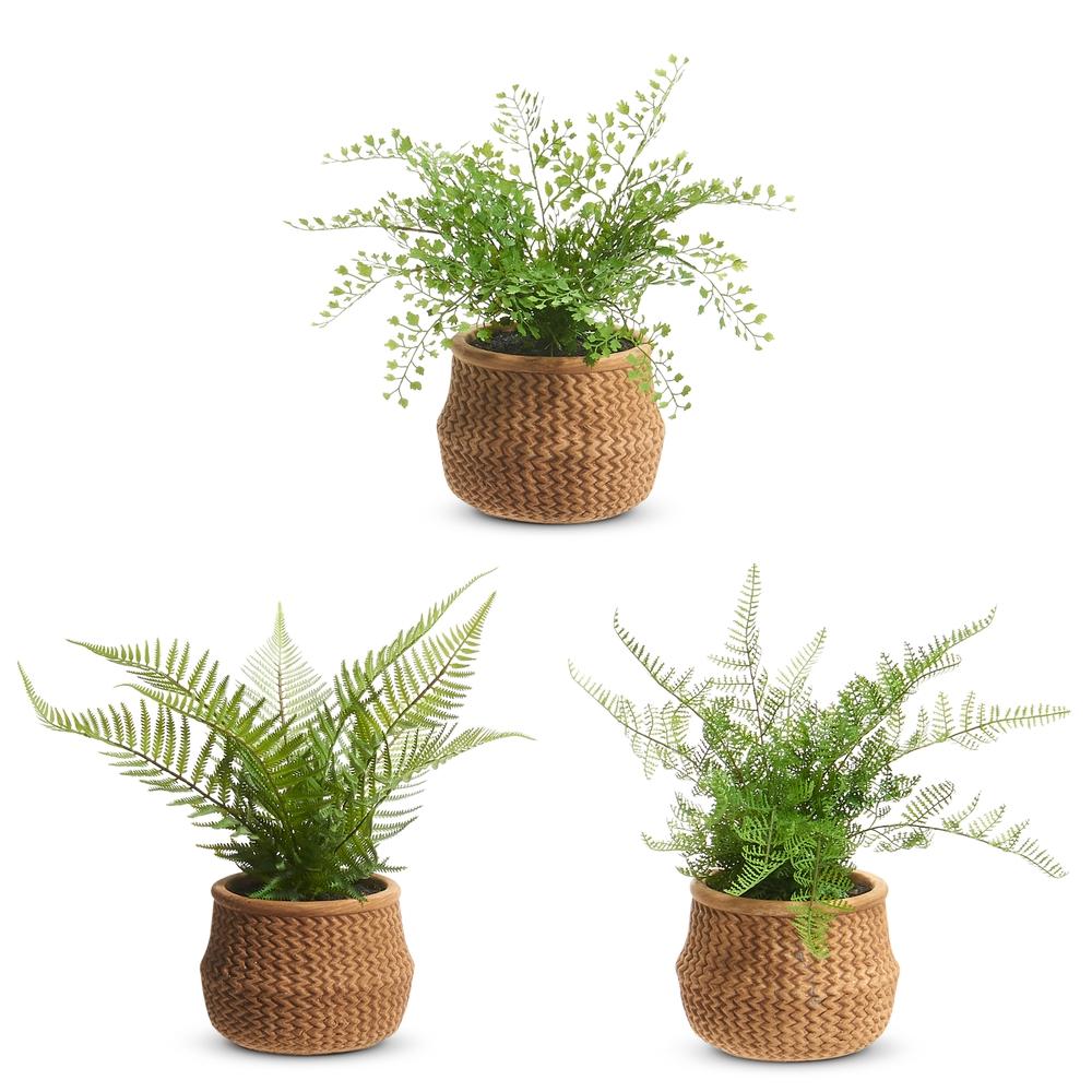 RAZ Imports 15" Potted Fern in Basket