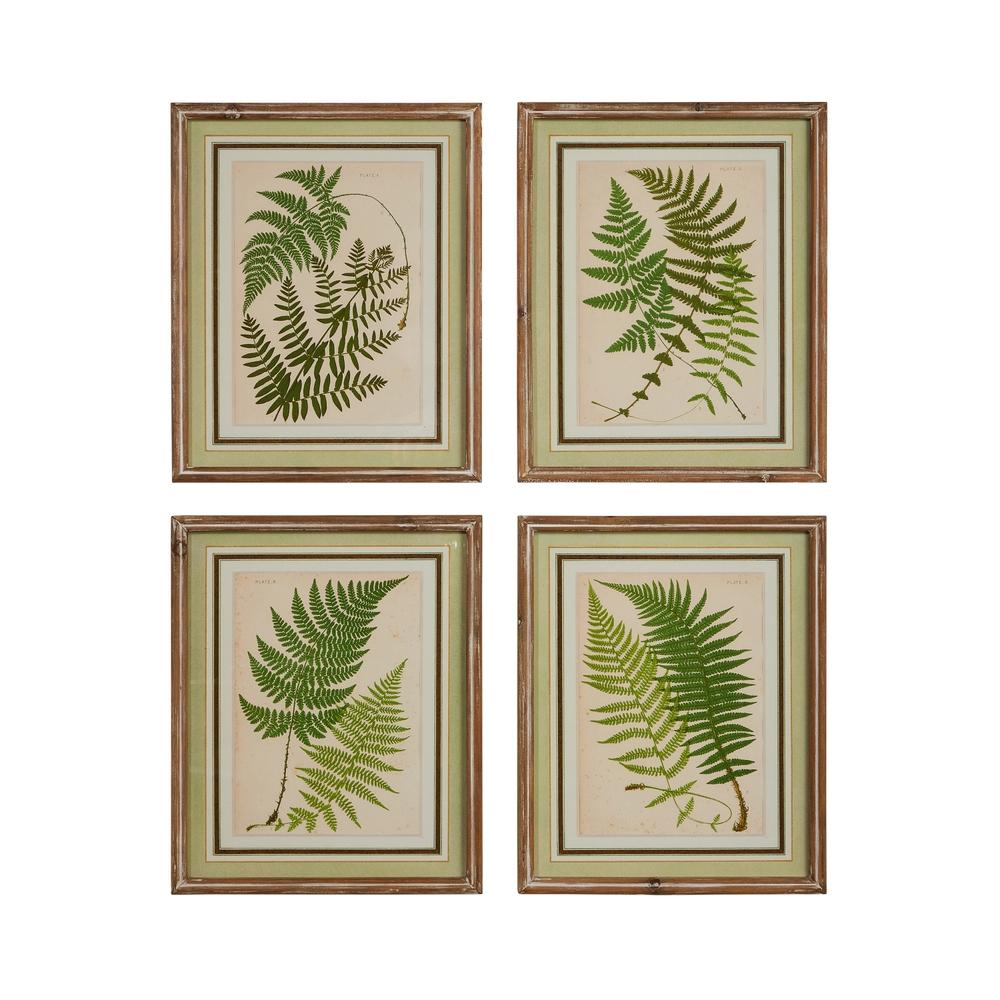 RAZ Imports 16" Fern Framed Wall Art