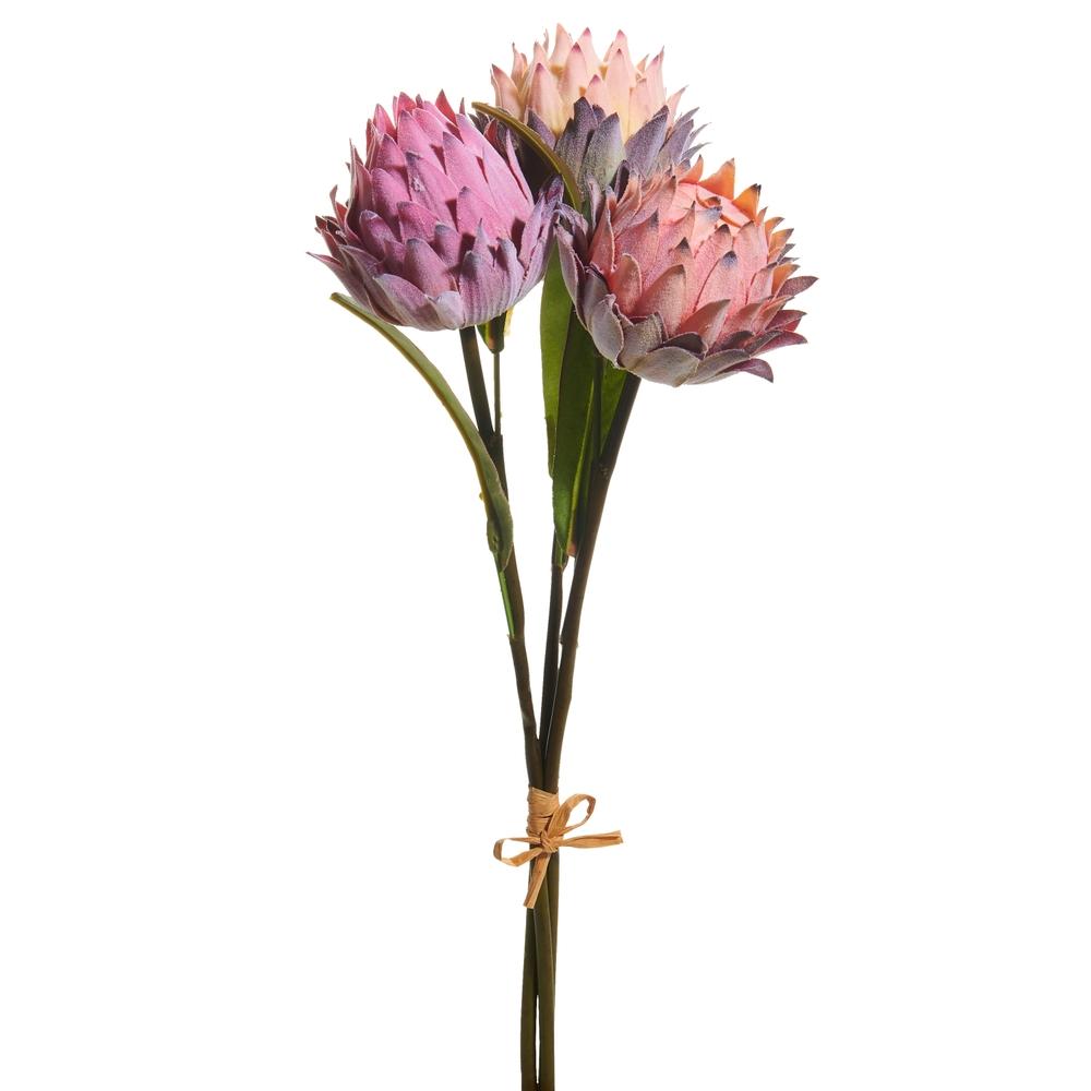 RAZ Imports 16" Protea Bundle