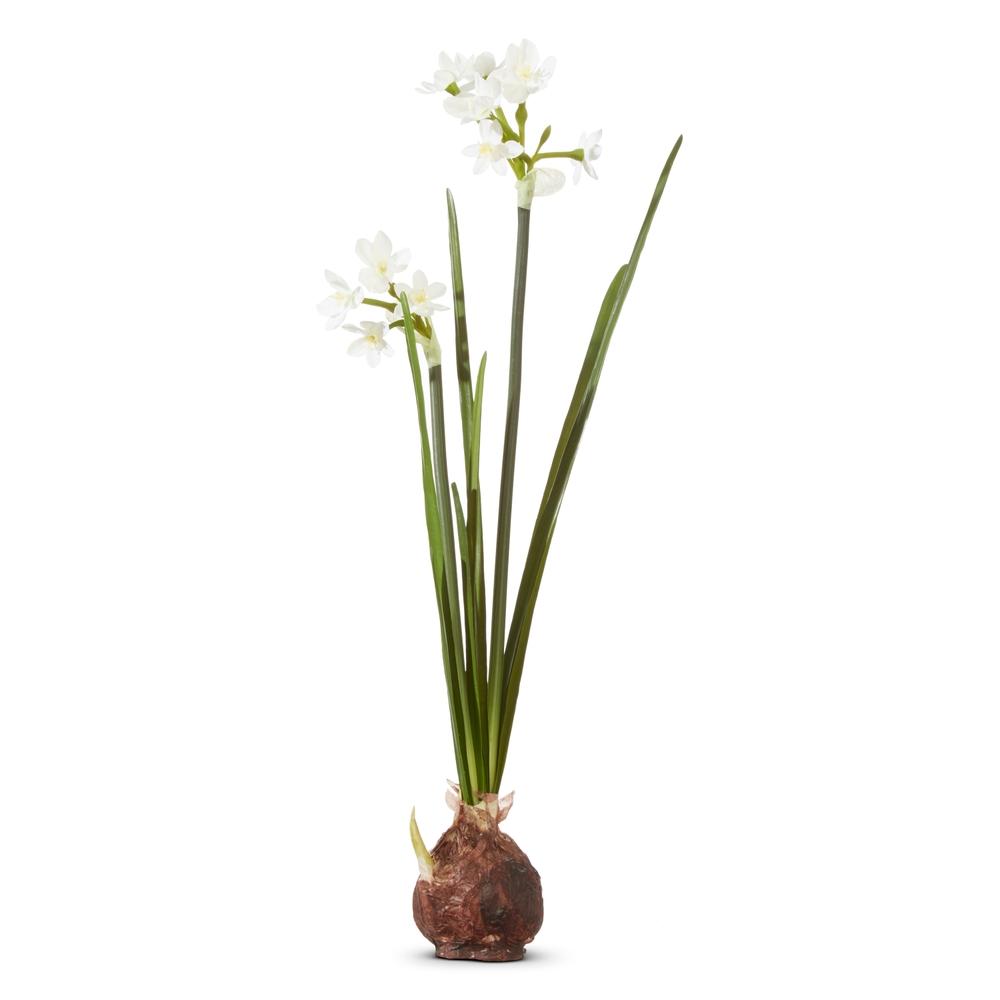 RAZ Imports 18" Paperwhite Bulb
