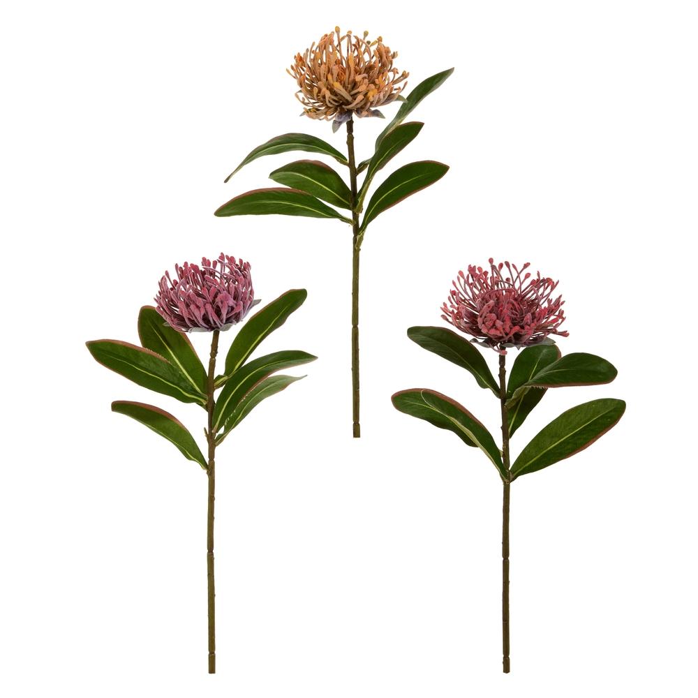 RAZ Imports 18" Protea Stem