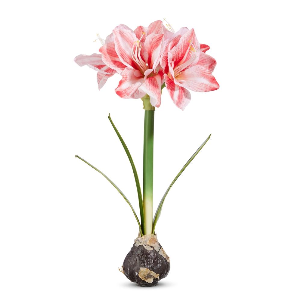 RAZ Imports 19" Real Touch Amaryllis Bulb