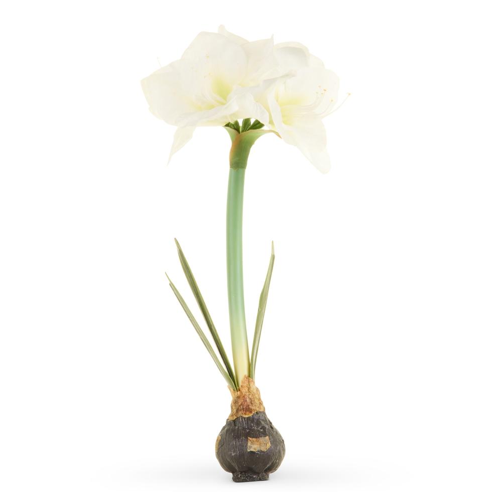 RAZ Imports 19" White Amaryllis Bulb