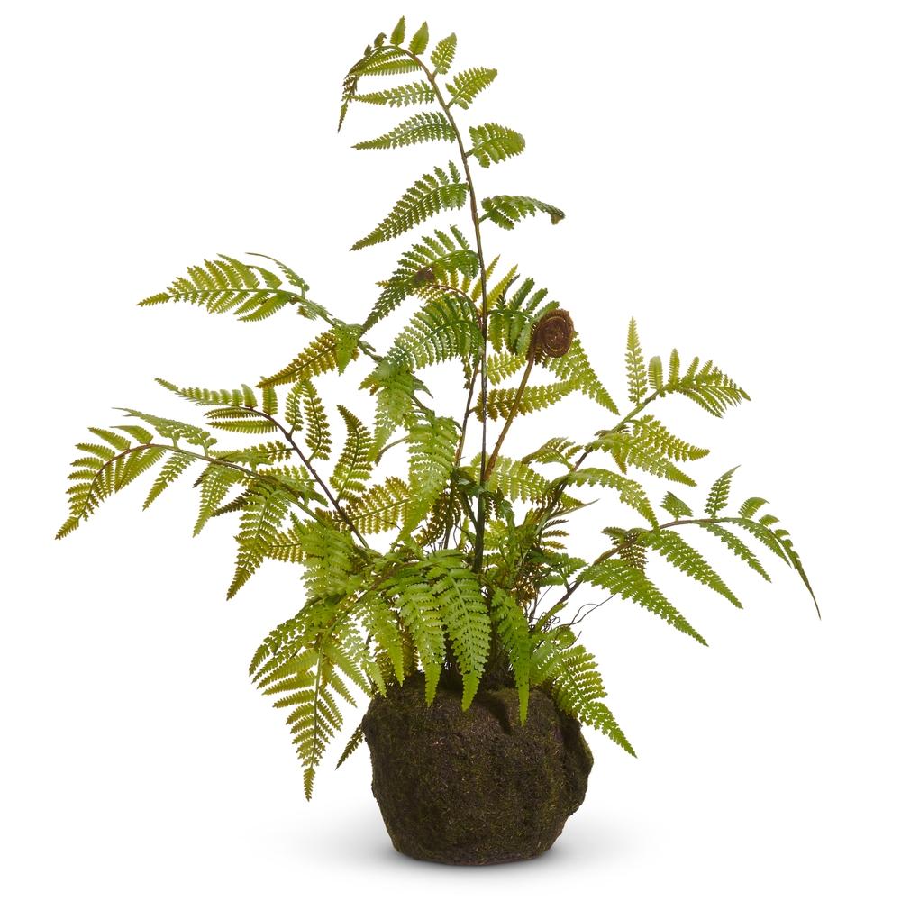 RAZ Imports 20" Fern Moss Drop In