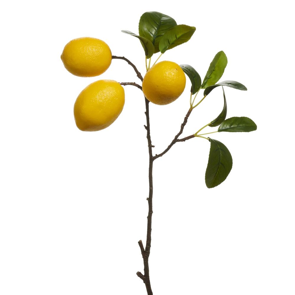 RAZ Imports 20" Lemon Spray