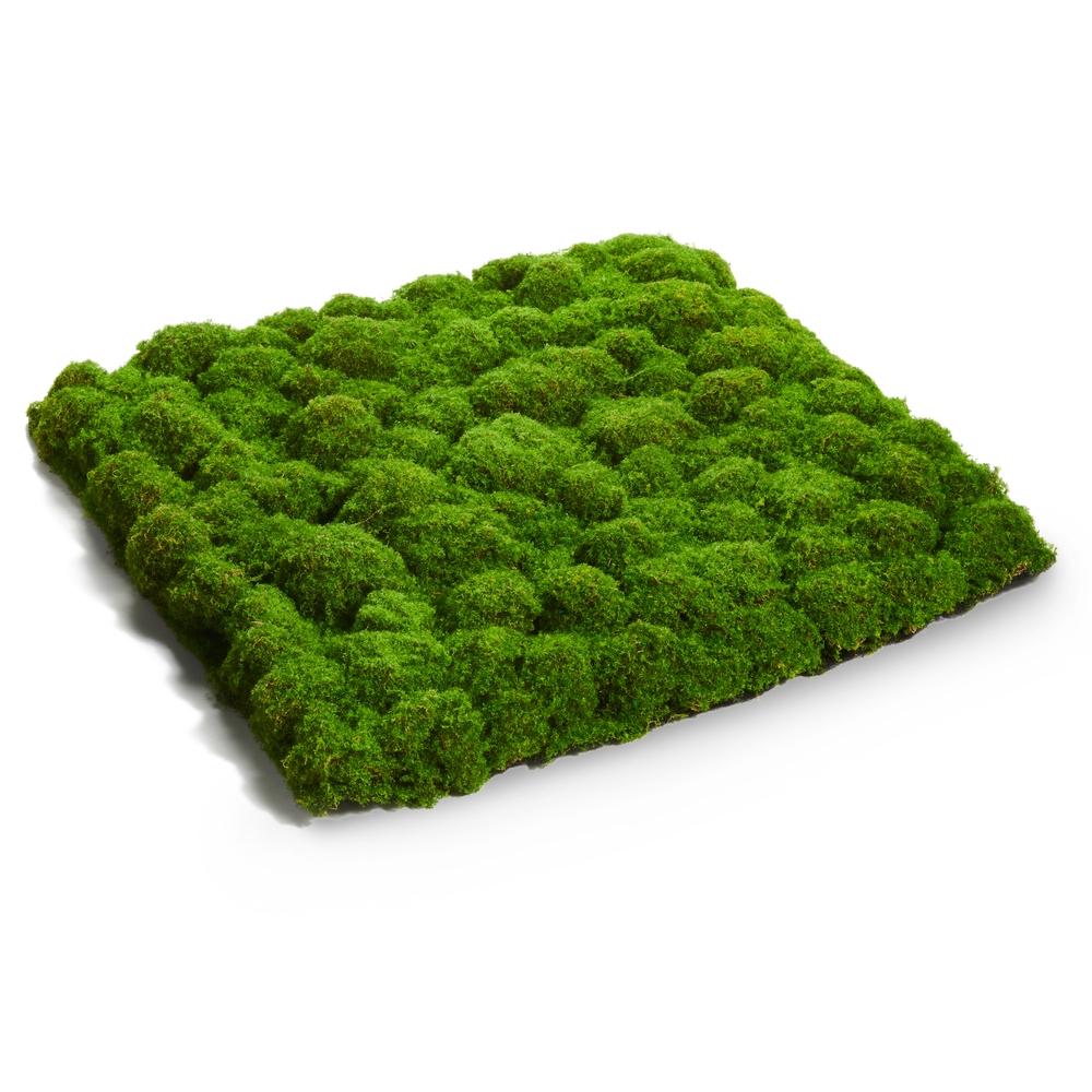 RAZ Imports 20" Moss Mat