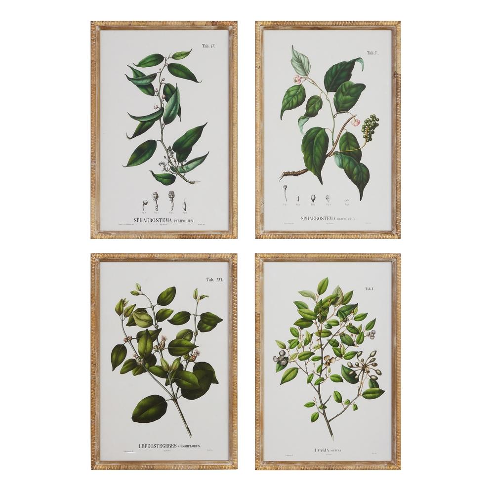 RAZ Imports 20" Seeded Branch Framed Wall Art