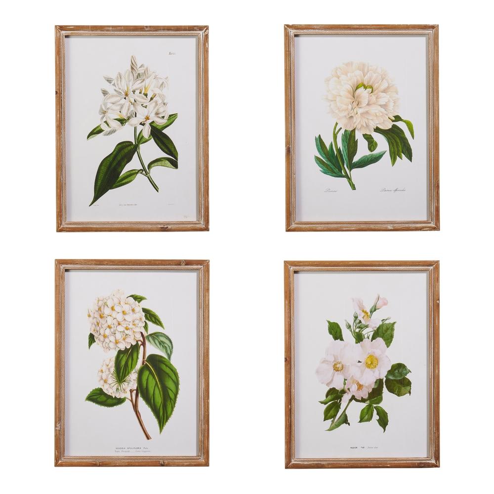 RAZ Imports 20" White Floral Framed Wall Art