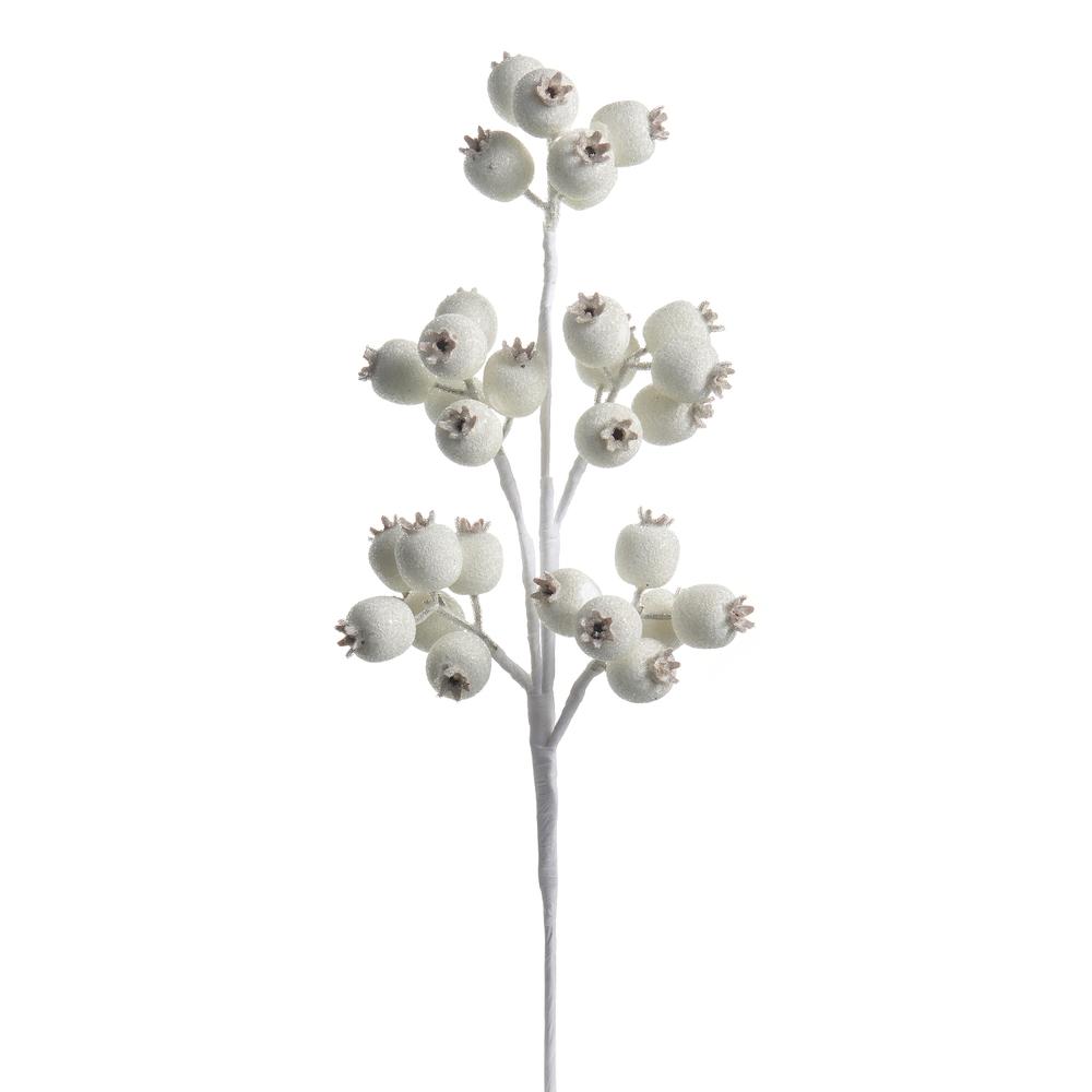 RAZ Imports 21" Iced White Berry Pod Spray