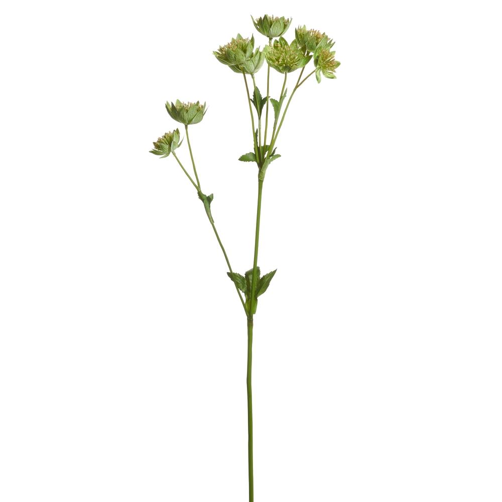 RAZ Imports 22.5" Green Purple Spray