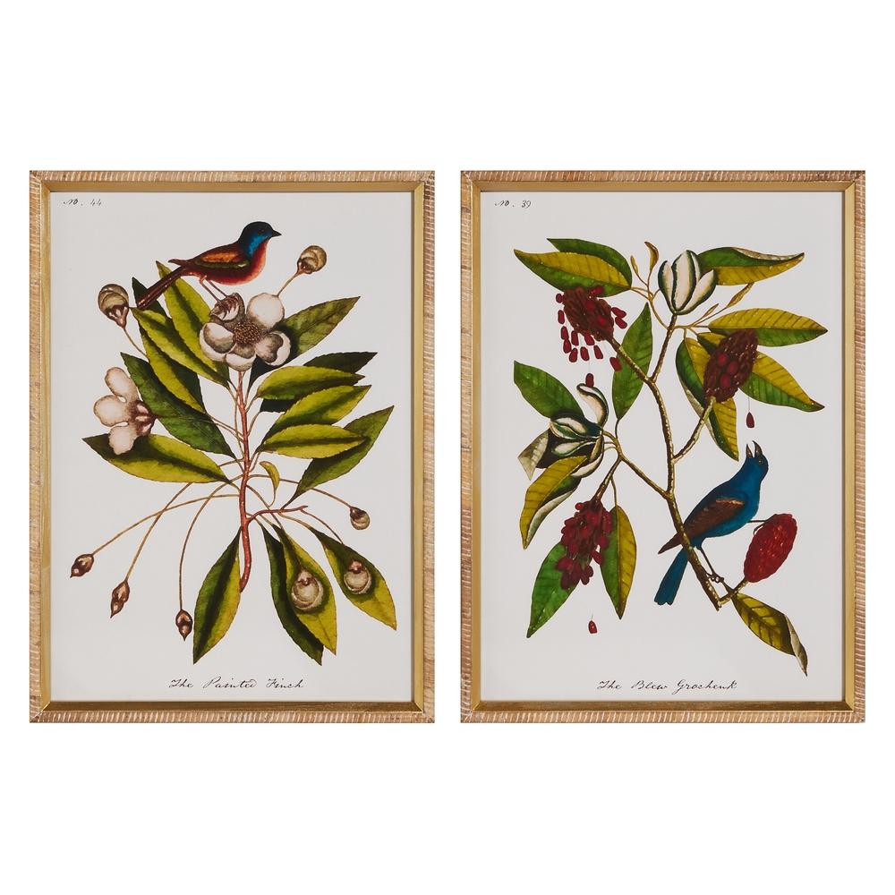 RAZ Imports 22" Nestled in Nature Framed Wall Art