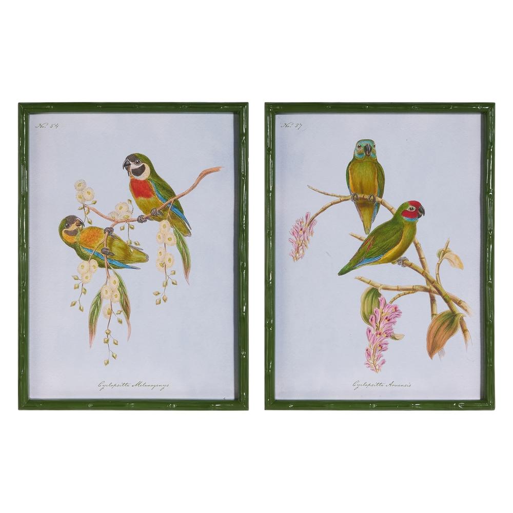 RAZ Imports 22" Wings in the Wild Framed Wall Art