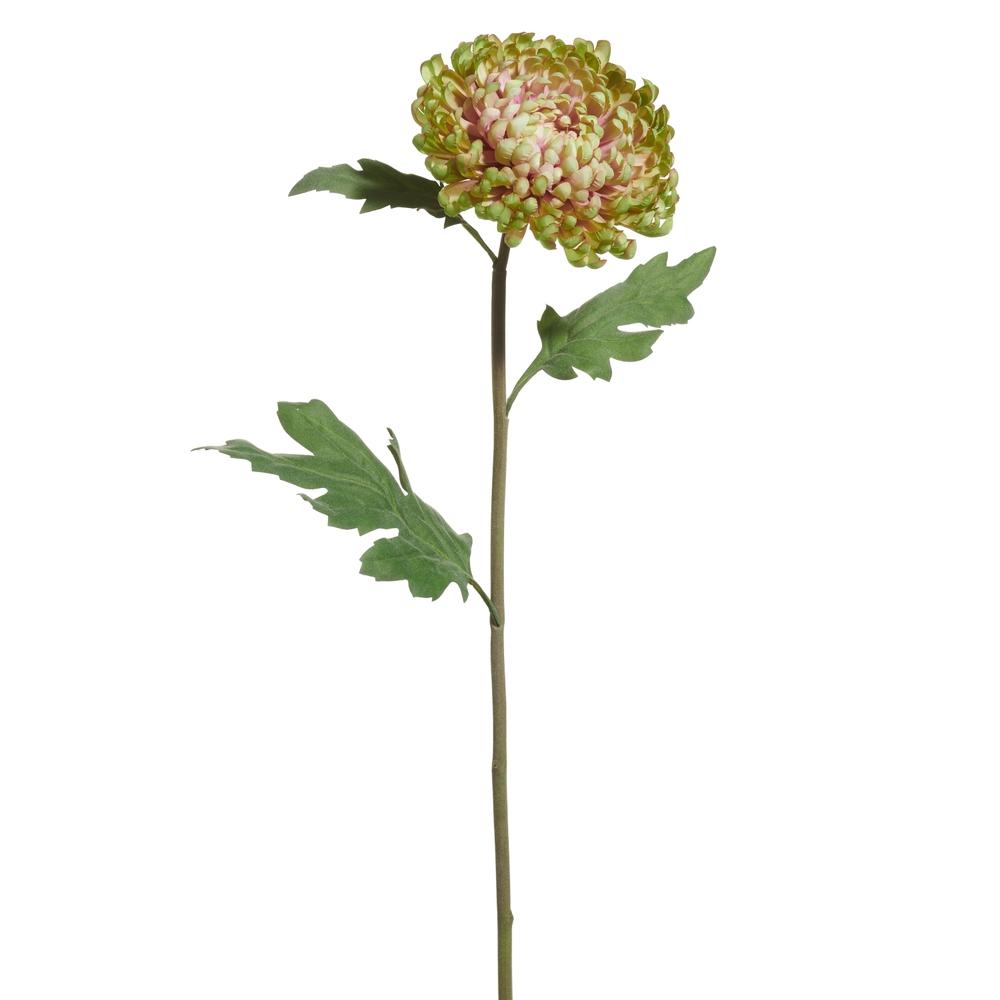 RAZ Imports 23" Green Mum Stem