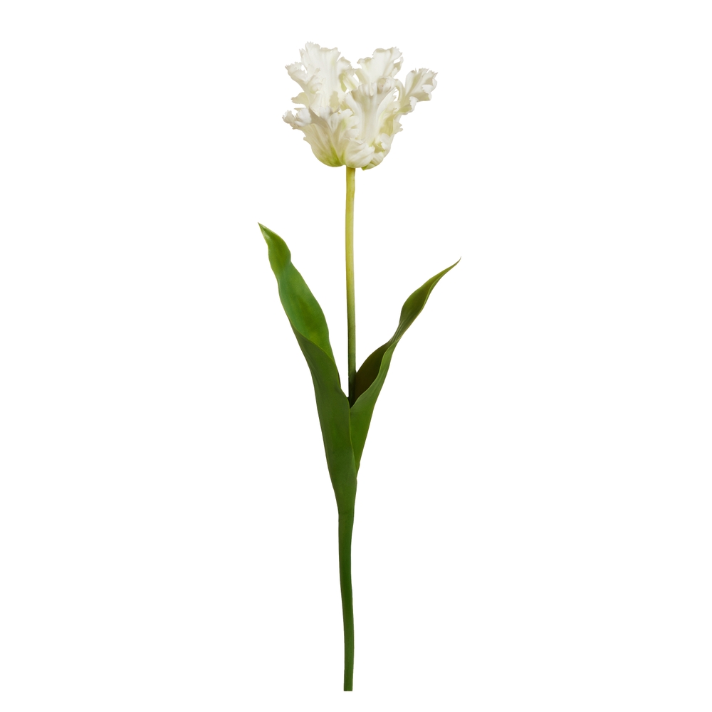 RAZ Imports 23" Real Touch Cream Parrot Tulip Stem