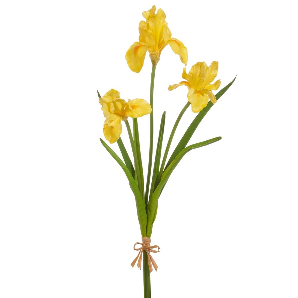 RAZ Imports 23" Real Touch Yellow Iris Bundle