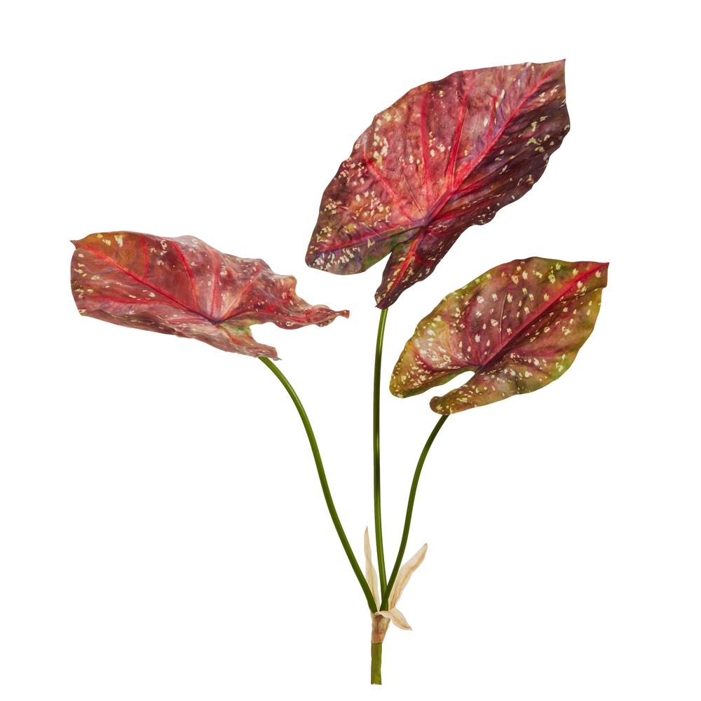 RAZ Imports 24.5" Burgandy Calladium Bush