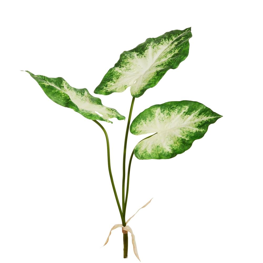 RAZ Imports 24.5" Green White Calladium Bush